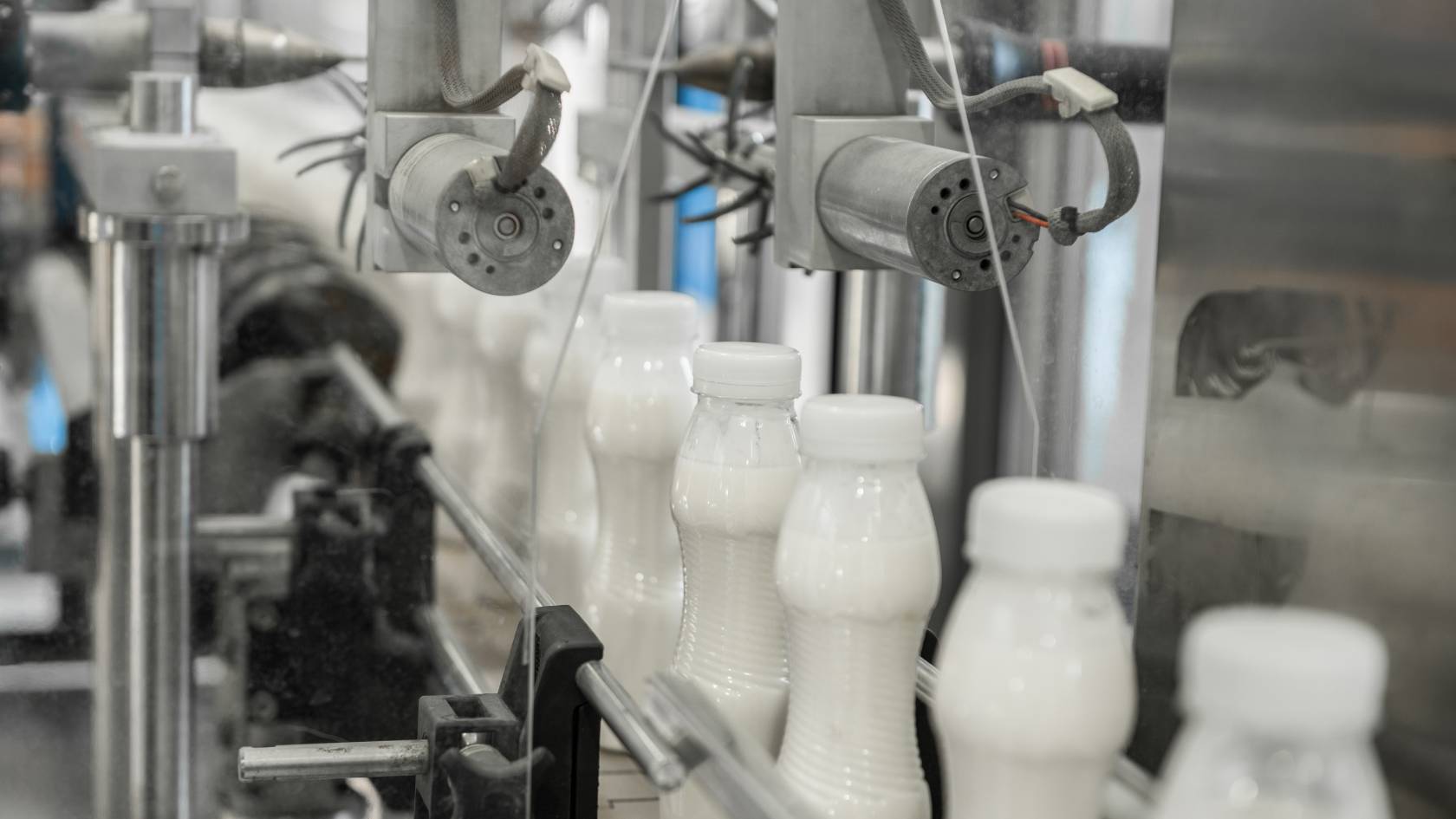 dairy products factories consultancy
