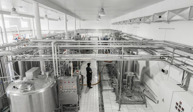 dairy turnkey projects consultancy