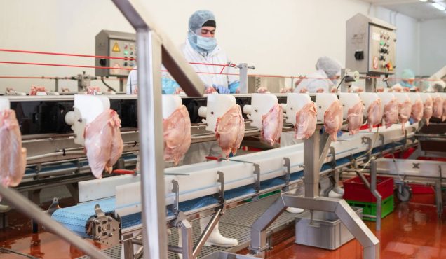 Meat Processing Plants consultancy