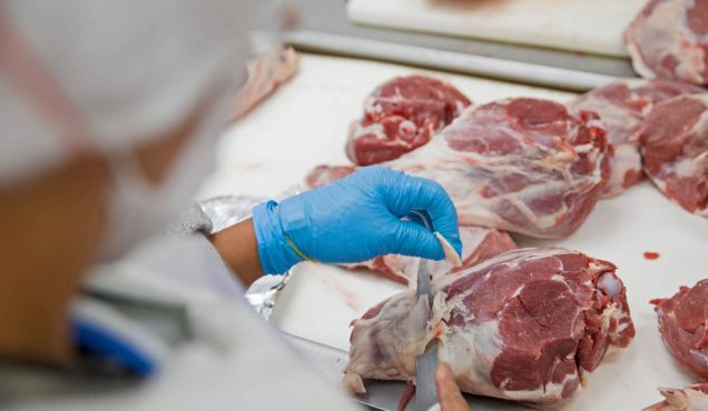 Meat Processing Plants consultancy in uae