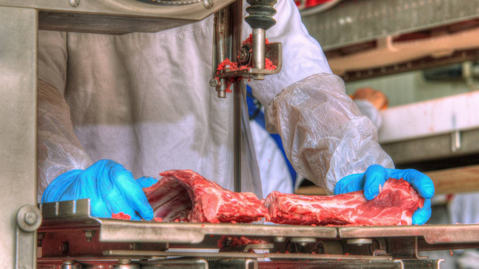 meat processing plants